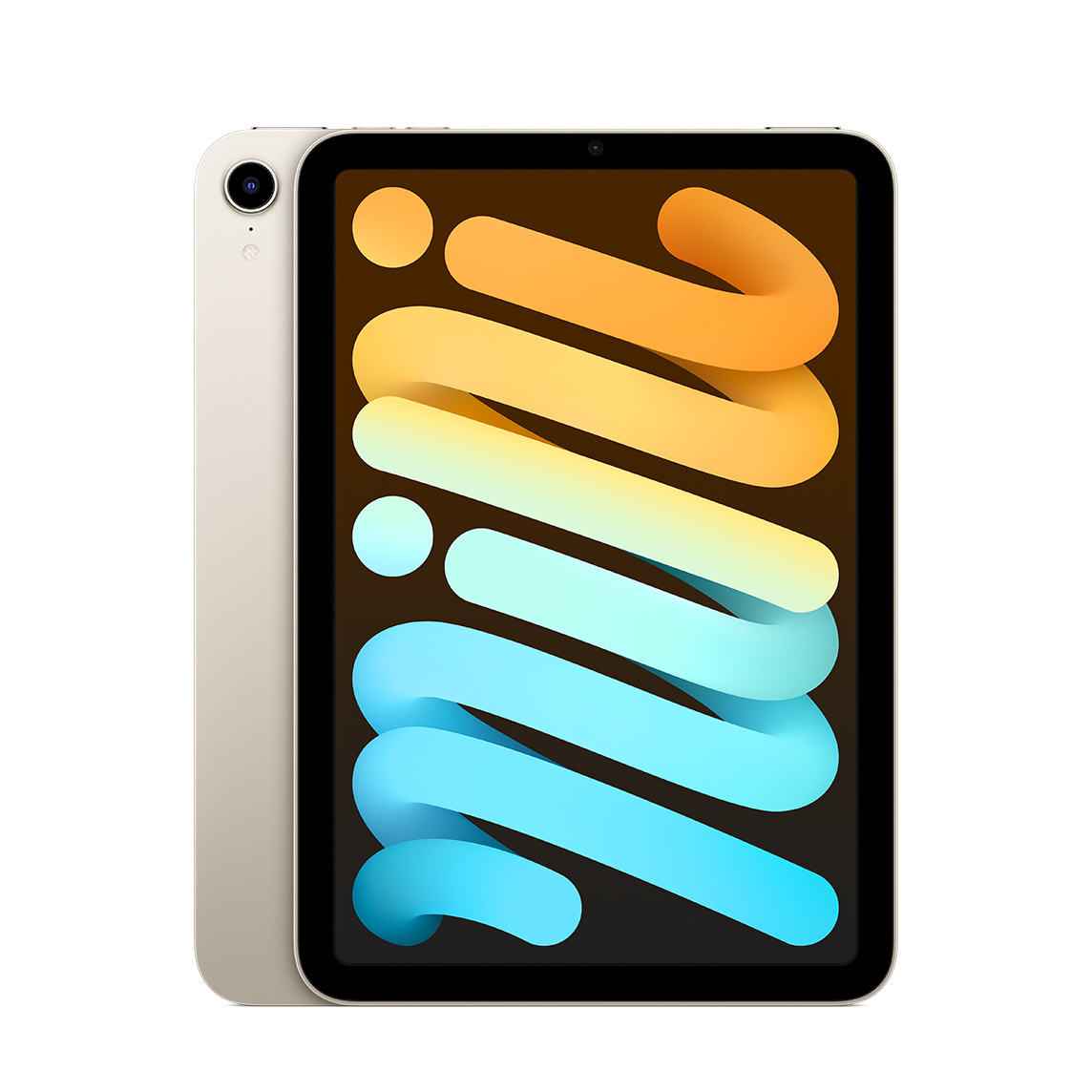 iPad mini (2021)
